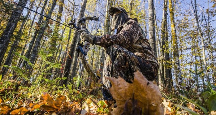 5 Foolproof Tips for Squirrel Hunting No One Told You