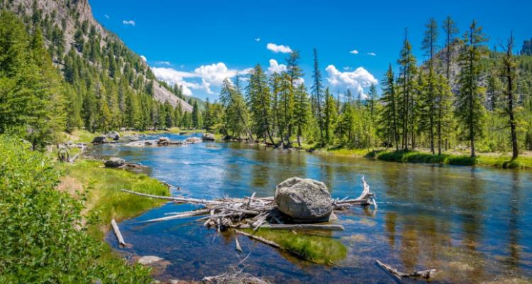 Yellowstone - Natural Wildlife Paradise